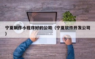 石河子宁夏制作小程序好的公司（宁夏软件开发公司）